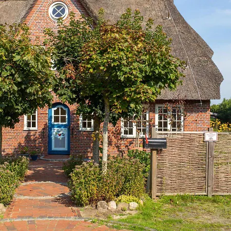 Haus Hafis - 12 * Nebel