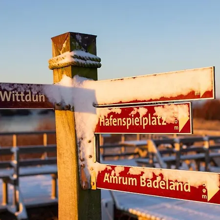 Haus Hafis - 12 * Nebel