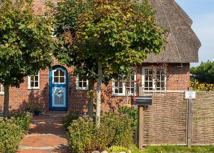 Haus Hafis - 12 * Nebel